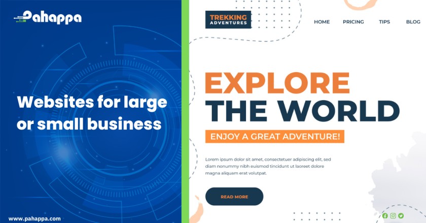 Websites for large or small business