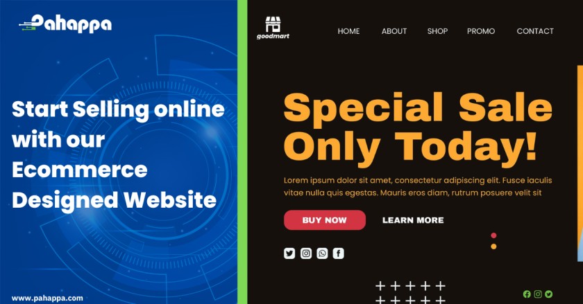 Start Selling online with our Ecommerce Designed Website