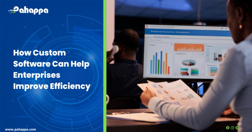 How Custom Software Can Help Enterprises Improve Efficiency